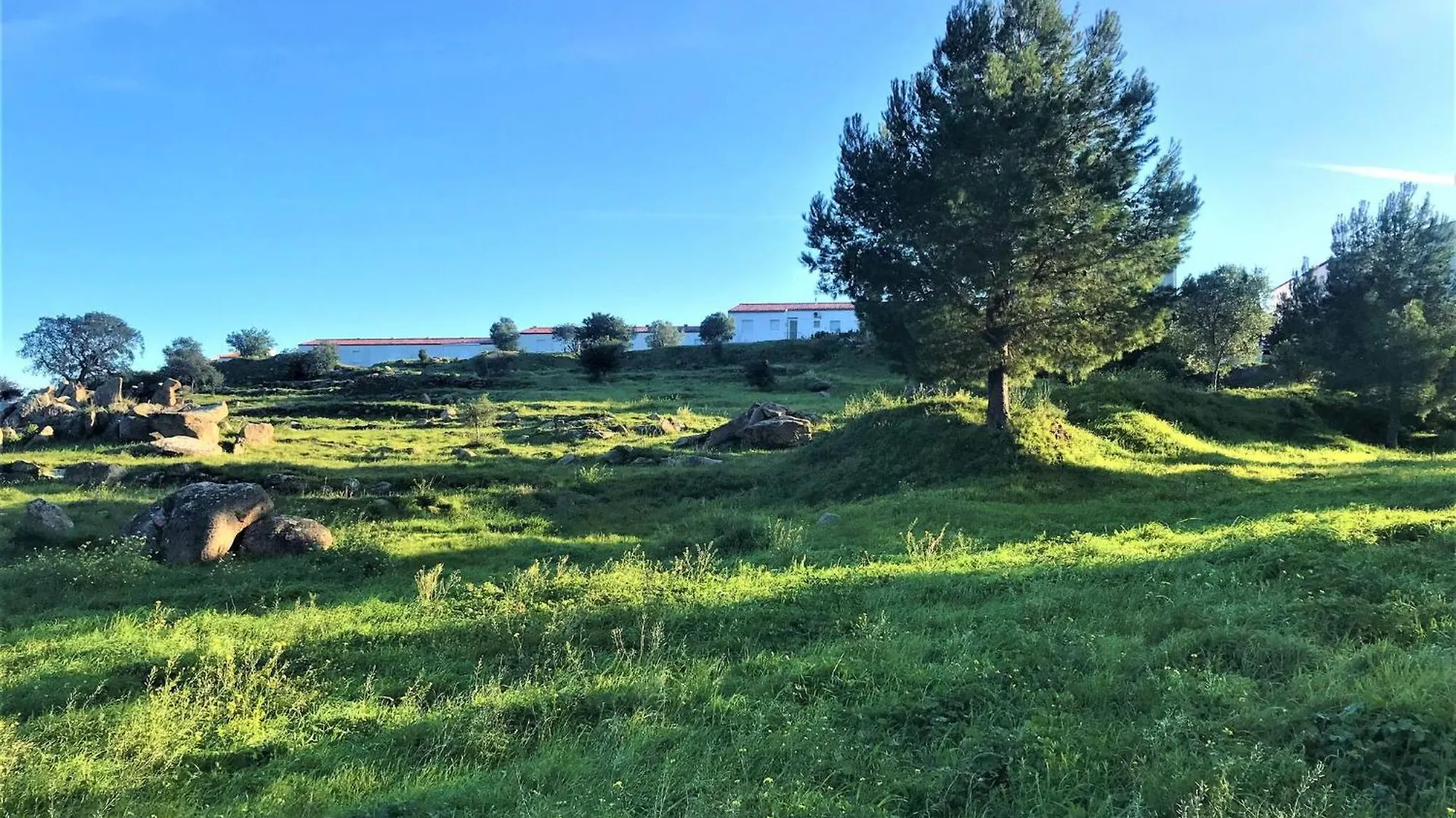 Holiday home Apartamento En Roses Parking Y Piscina Comunitaria